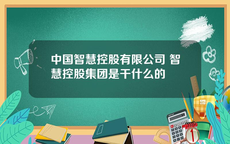 中国智慧控股有限公司 智慧控股集团是干什么的